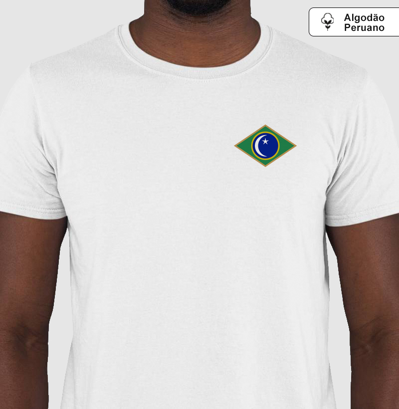 Bandeira Santa Maria 