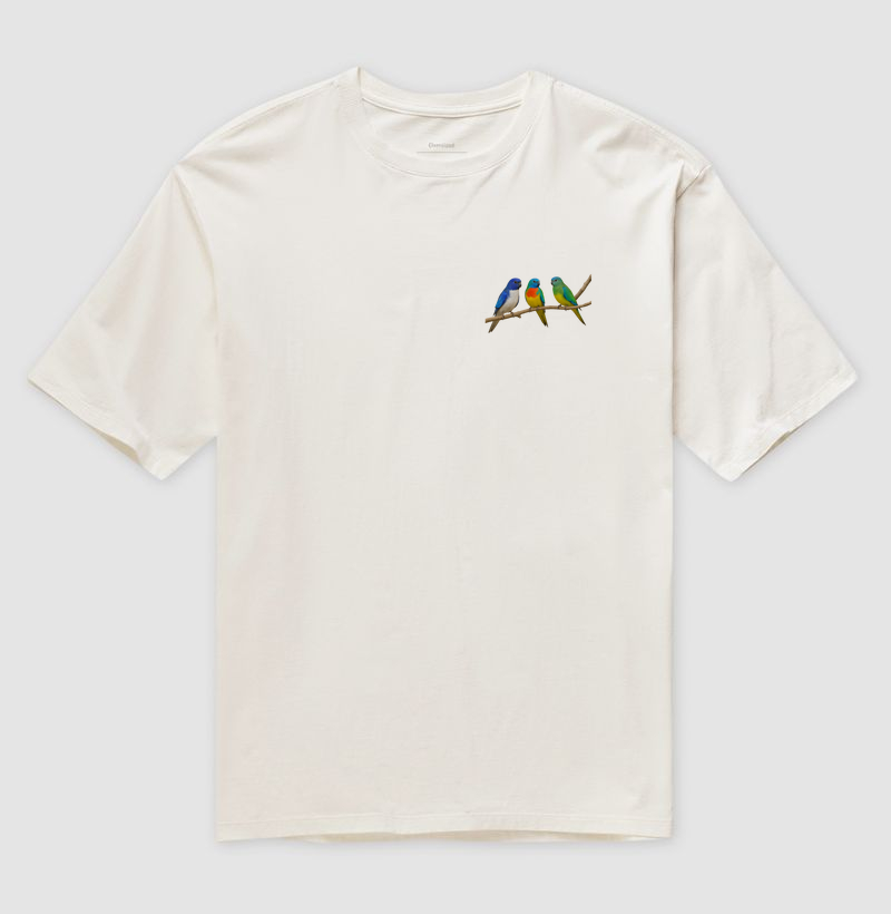 Camiseta Oversized - Minimalista Neophemas