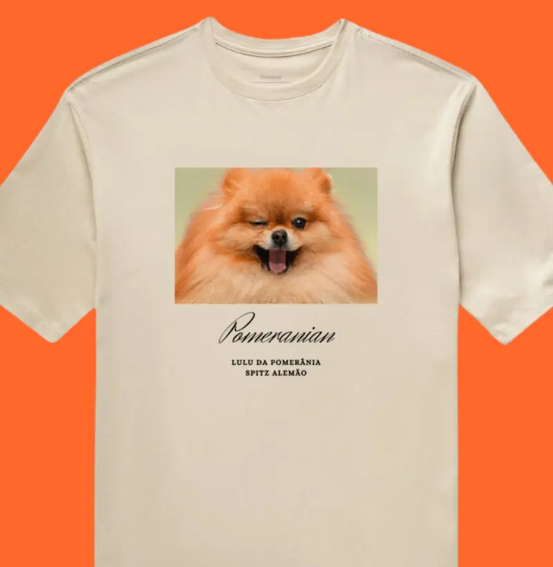 Oversized Pomeranian