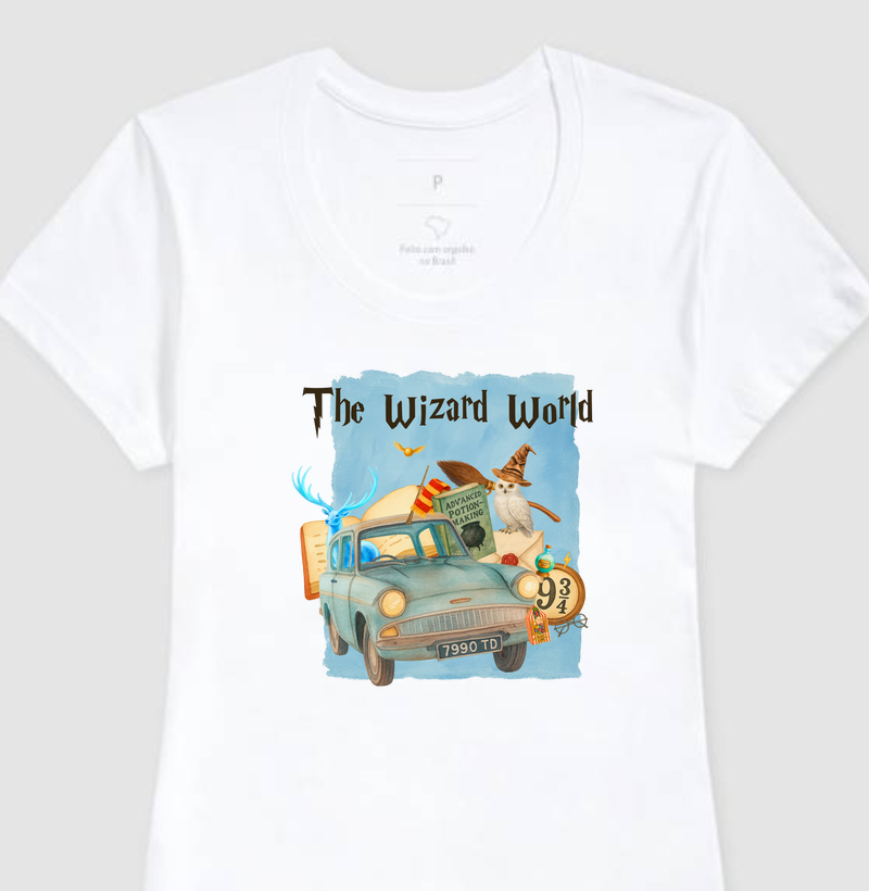 Harry - The wizard World