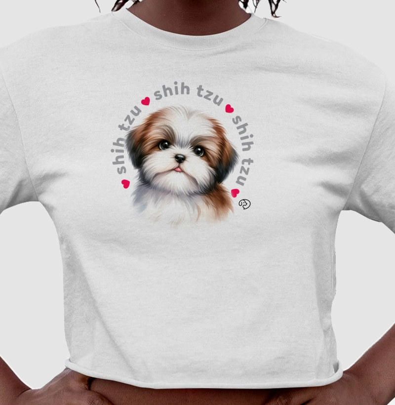 Shih-tzu Puppy