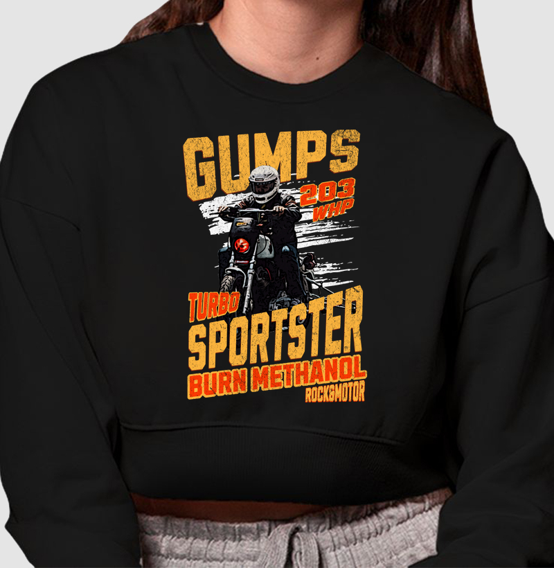 Sportster Turbo