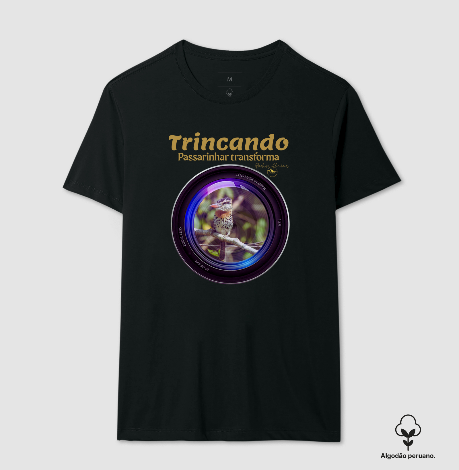 Coleção Observadores 1.0