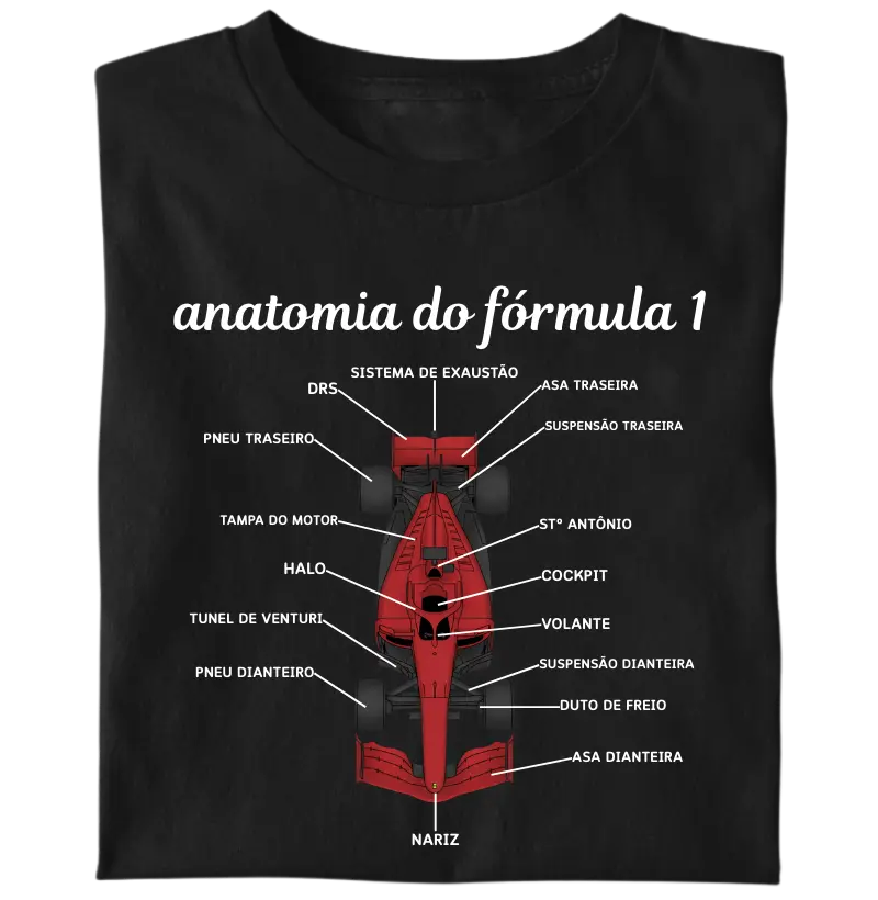 Anatomia do Fórmula 1