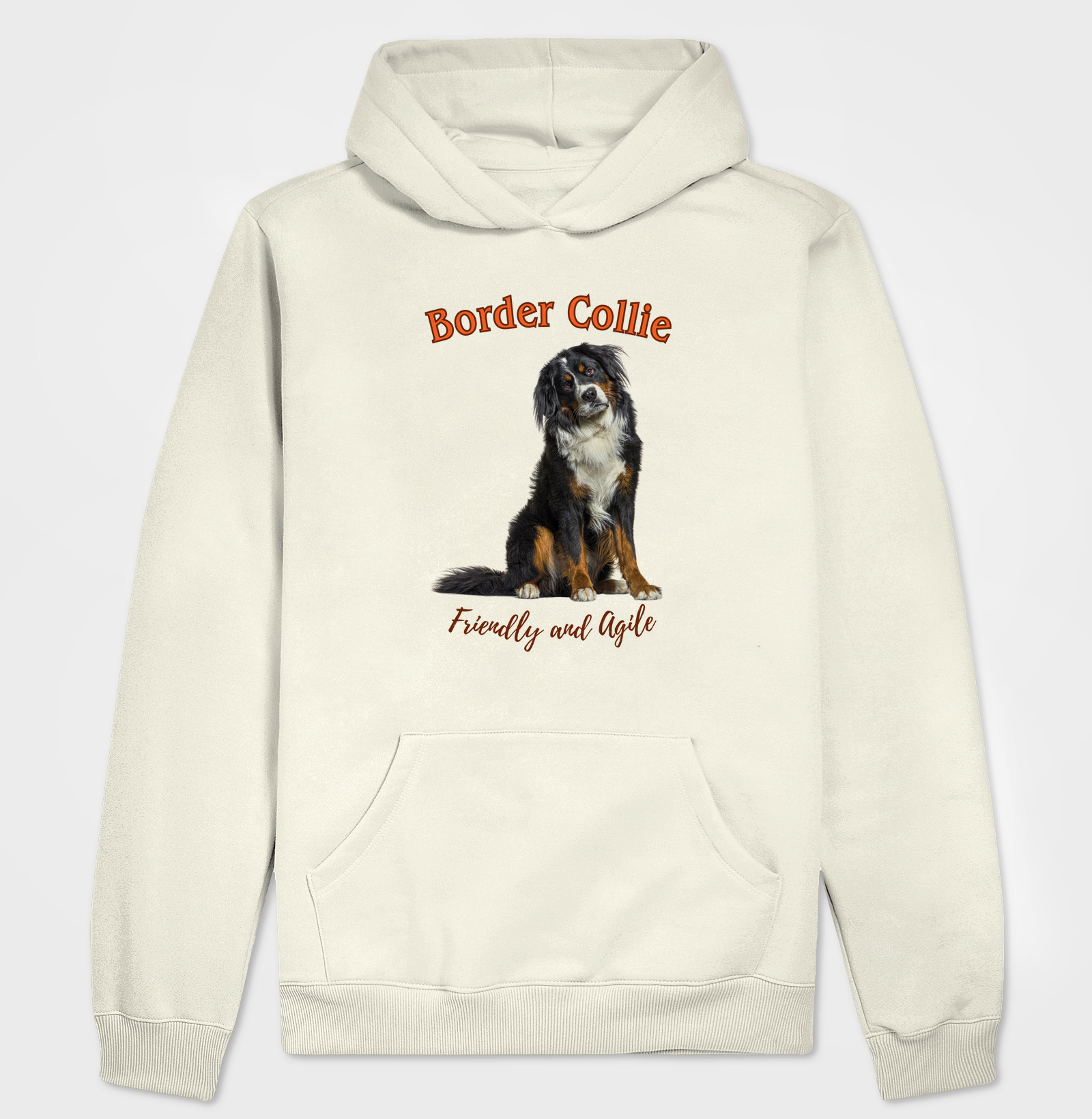 BORDER COLLIE