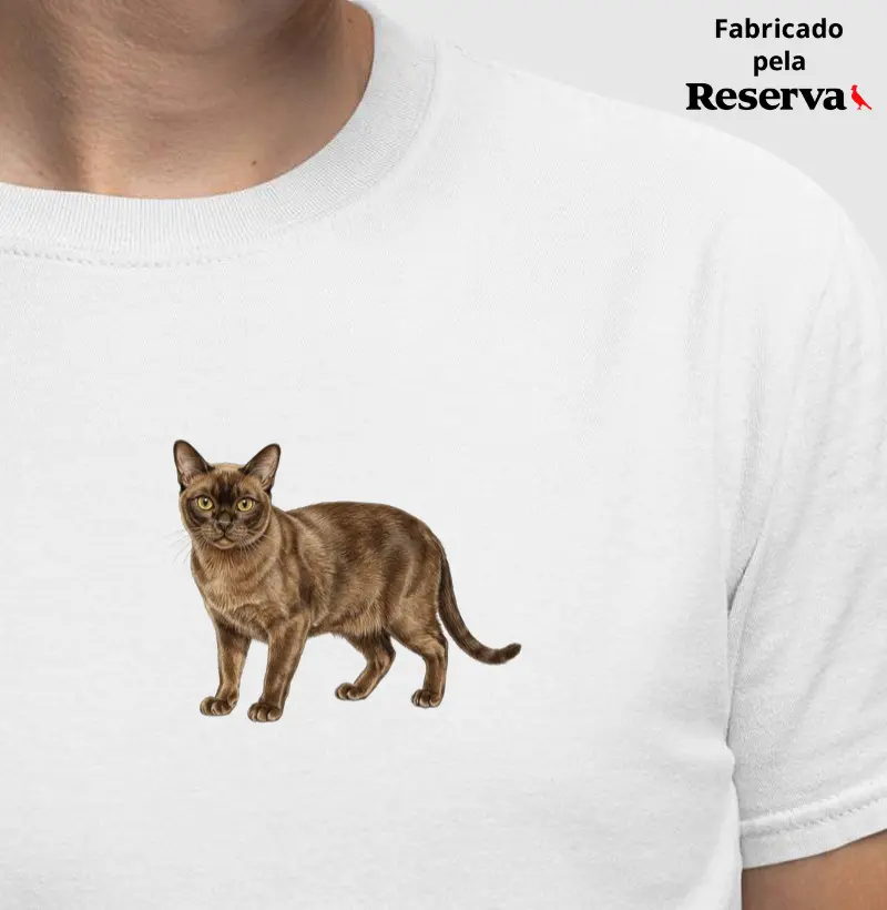 Gato Burmês - Minimalista
