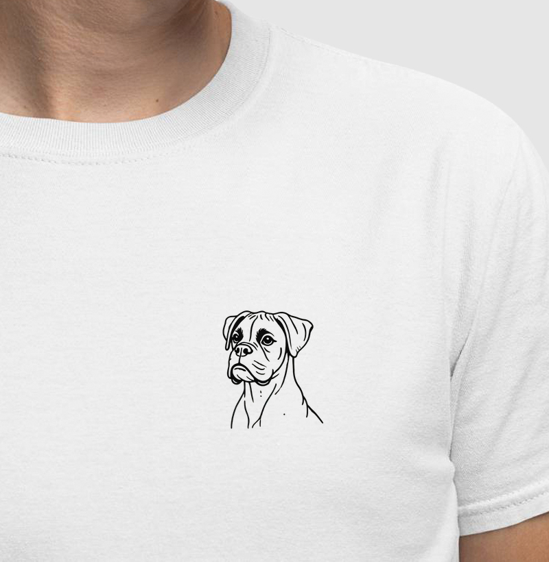 Boxer - Linhas