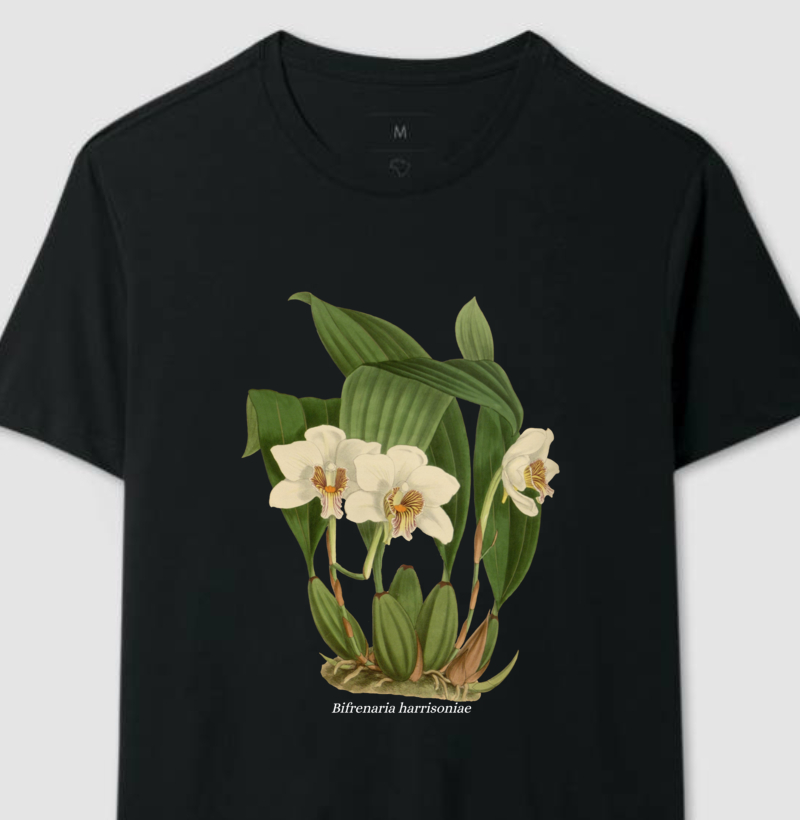 Camiseta Bifrenaria harrisoniae t-shirt