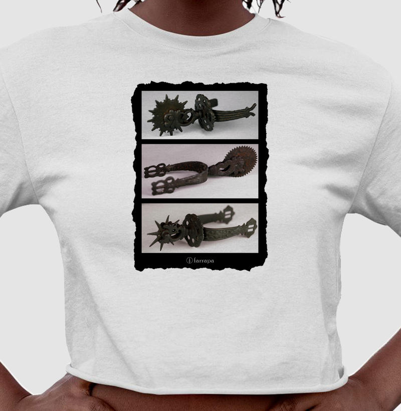 Esporas (peças dos Museu Histórico Farroupilha)