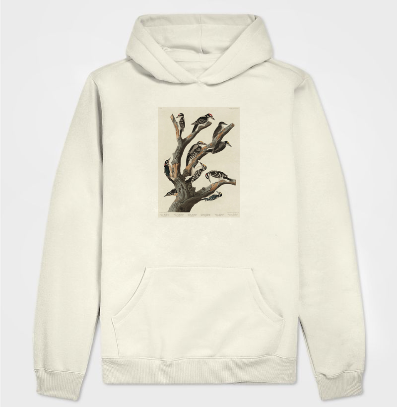 Maria's Woodpecker