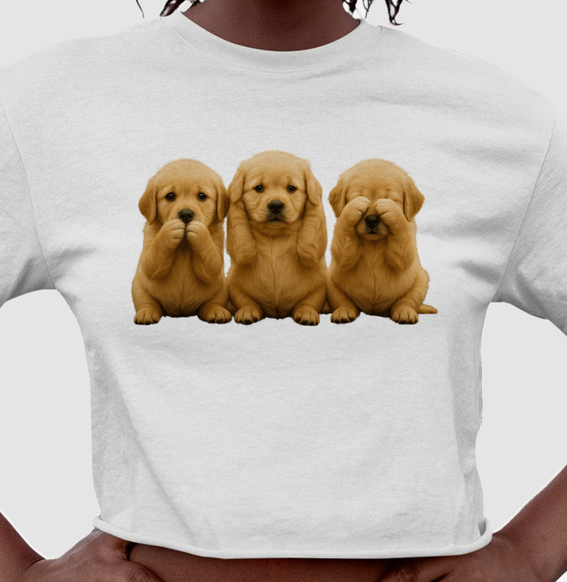 3 Goldens Sábios