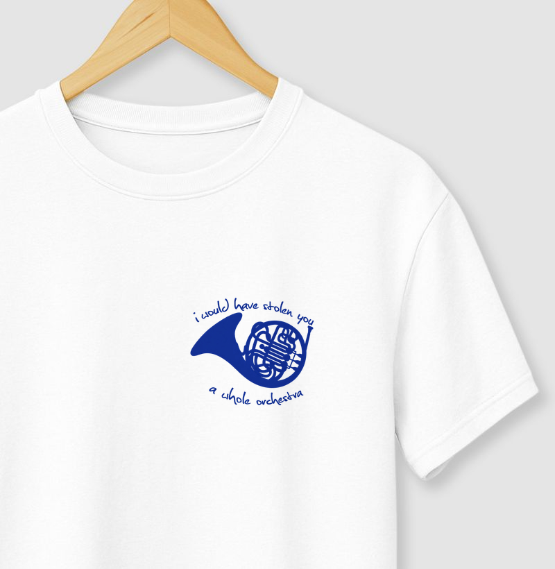 I would have stolen a whole orchestra for you - How i met your