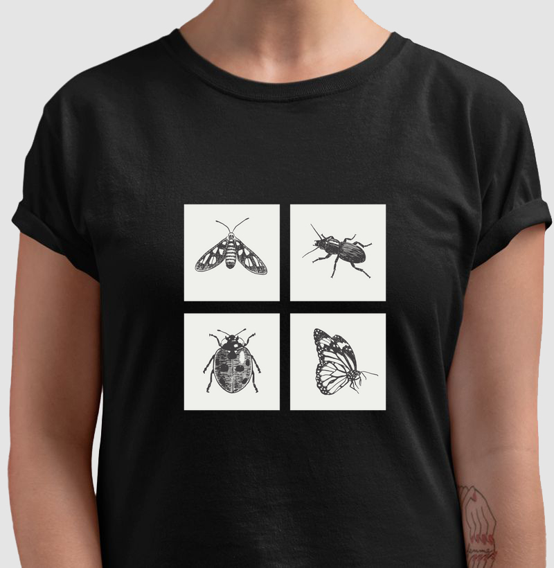 Ladybug