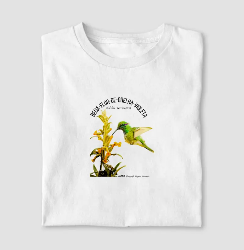 Aves da mata atlântica com Magela Eleutério BEIJA-FLOR-DE-ORELHA-VIOLETA 