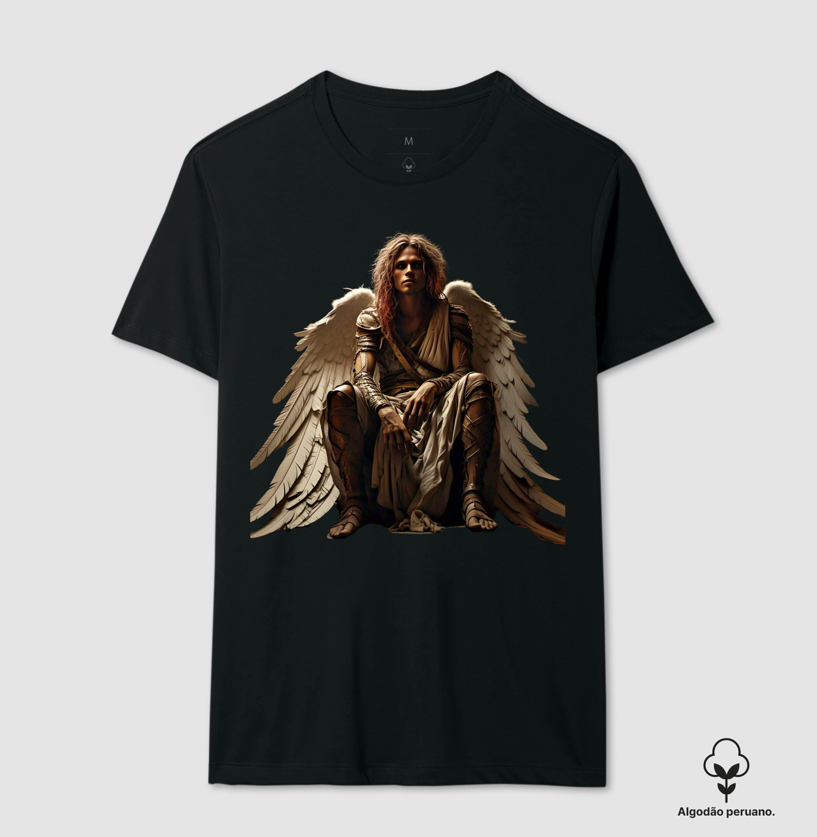 ANJO CAÍDO