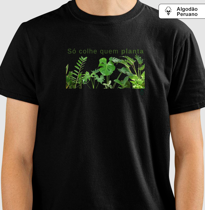 Só colhe quem planta