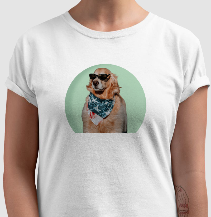 Golden Retriever Cool – Estampa Criativa e Cheia de Estilo | TODAY