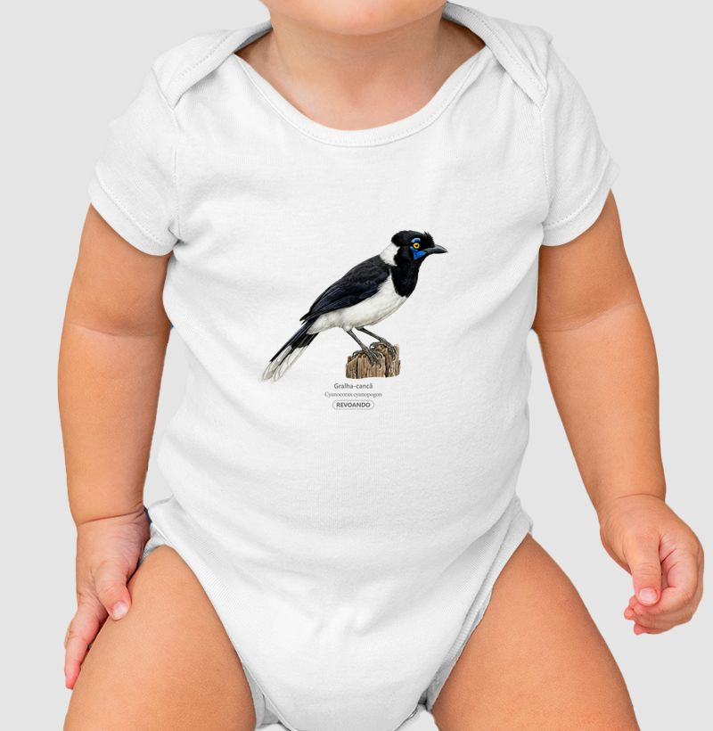 Traços Alados - Gralha-cancã - Body Infantil