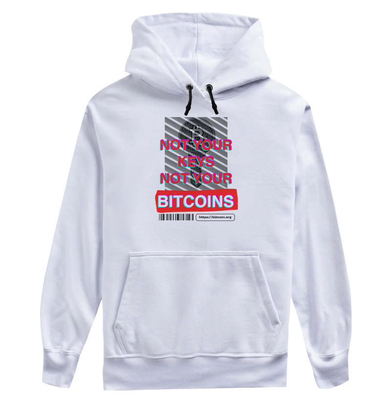 Not Your Keys Not Your Bitcoins