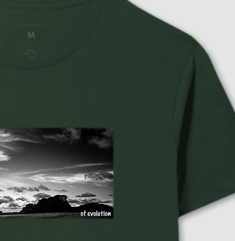 Billions of Years of Evolution