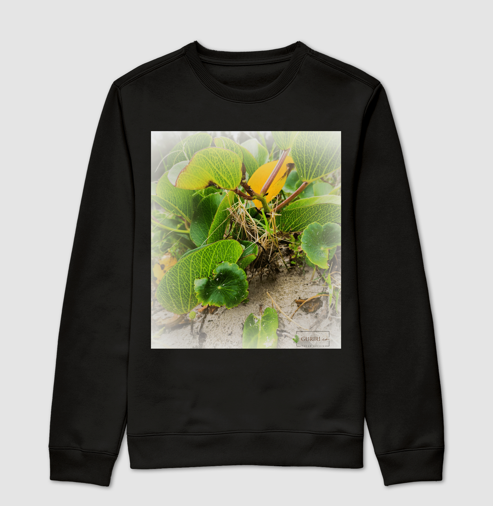 Restinga 01
