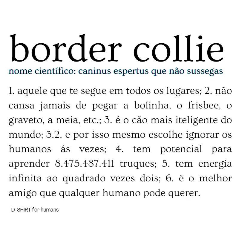 dicionário border collie