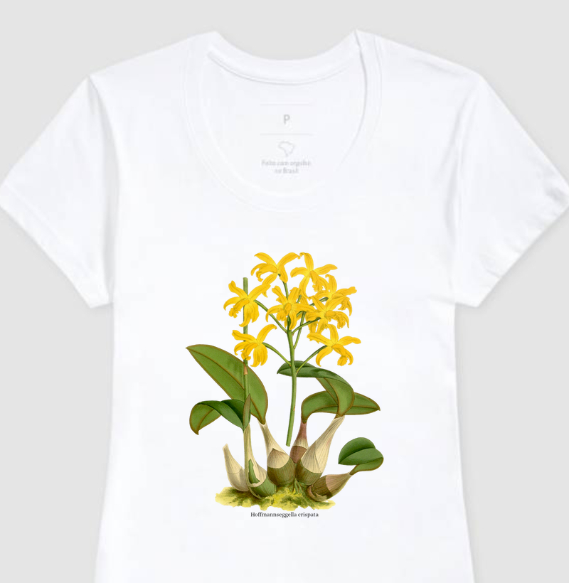 Camiseta Feminina Hoffmannseggella crispata (Laelia) t-shirt