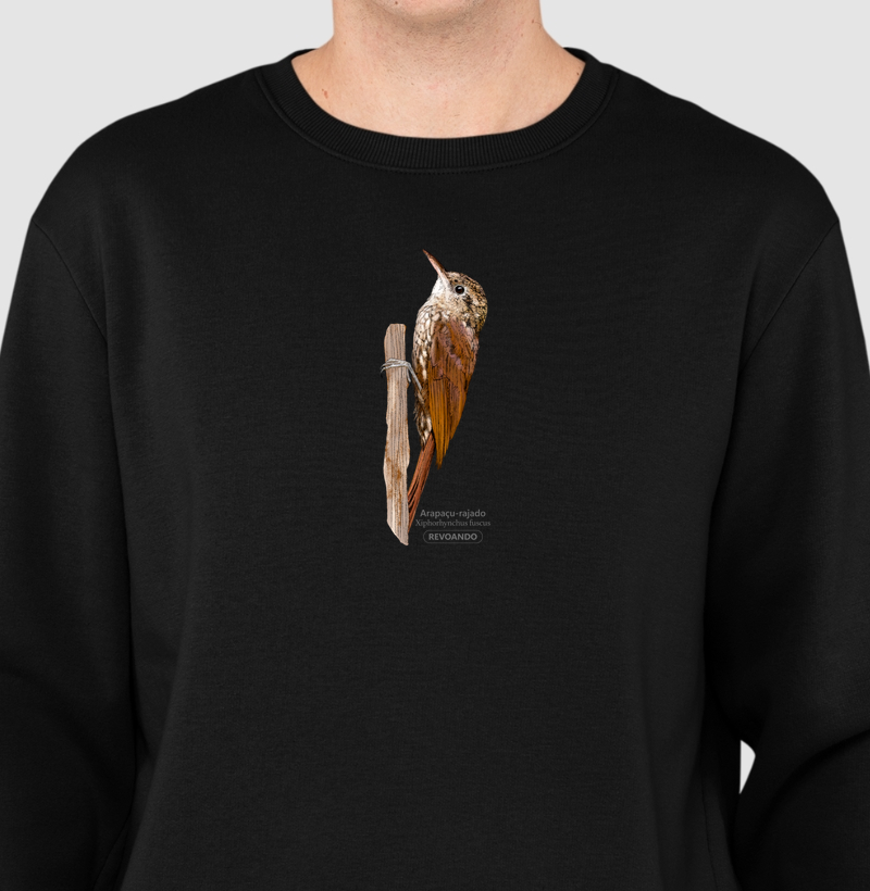 Aves do Brasil - Arapaçu-rajado - Moletom