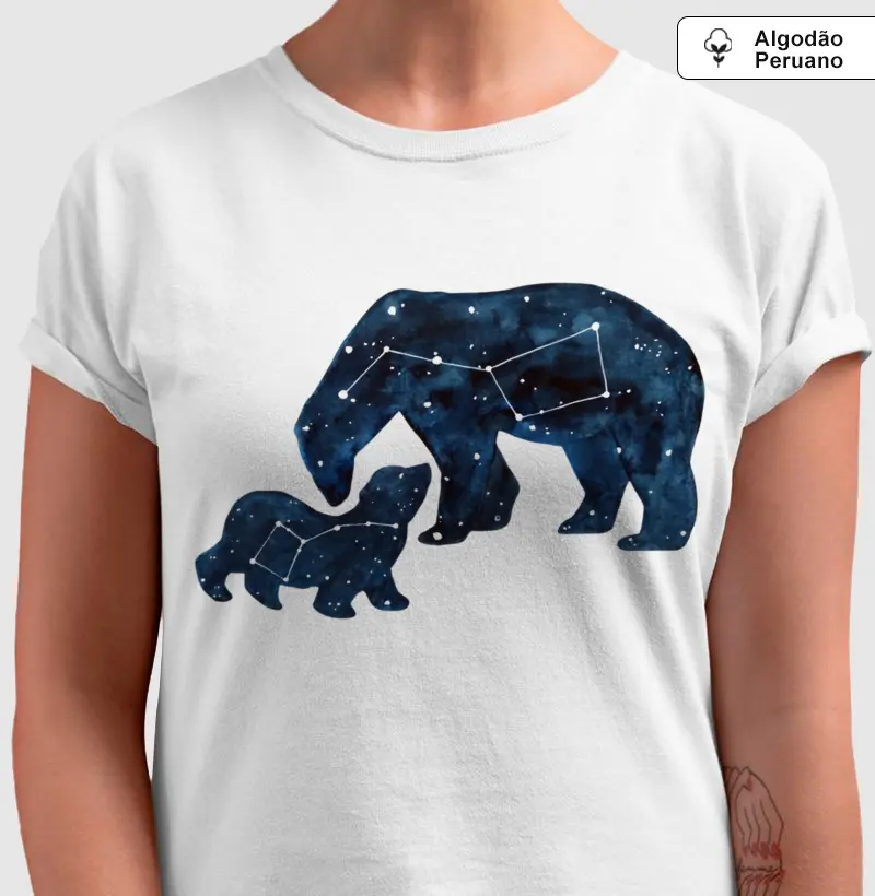 Ursa Major Constellation