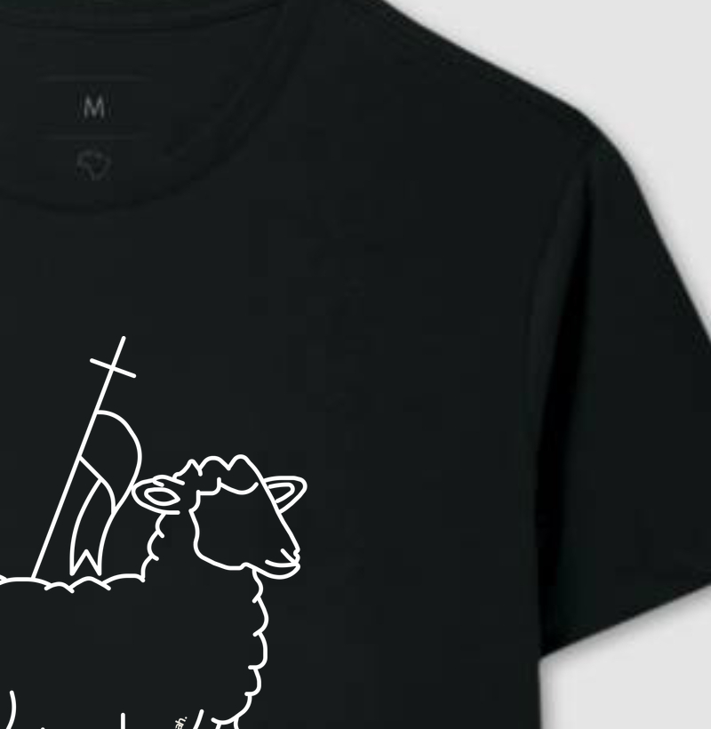 Camiseta Básica Cordeiro