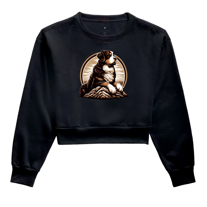 Bernese da Montanha