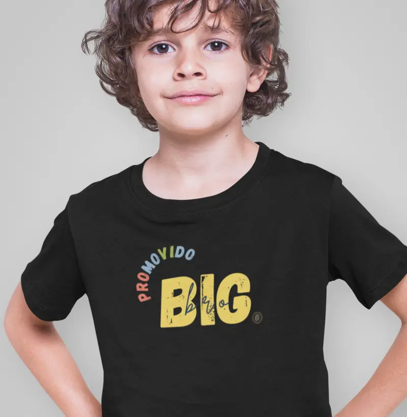 Camiseta Infantil | Big bro