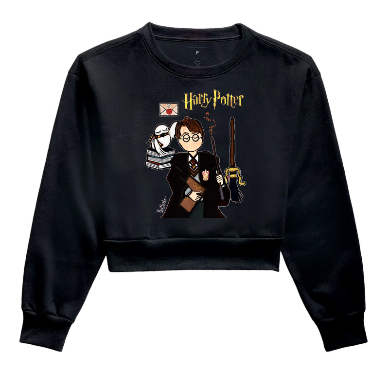 Releitura H. Potter 2