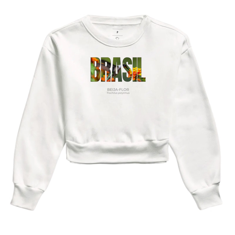 Animais do Brasil – Beija-flor