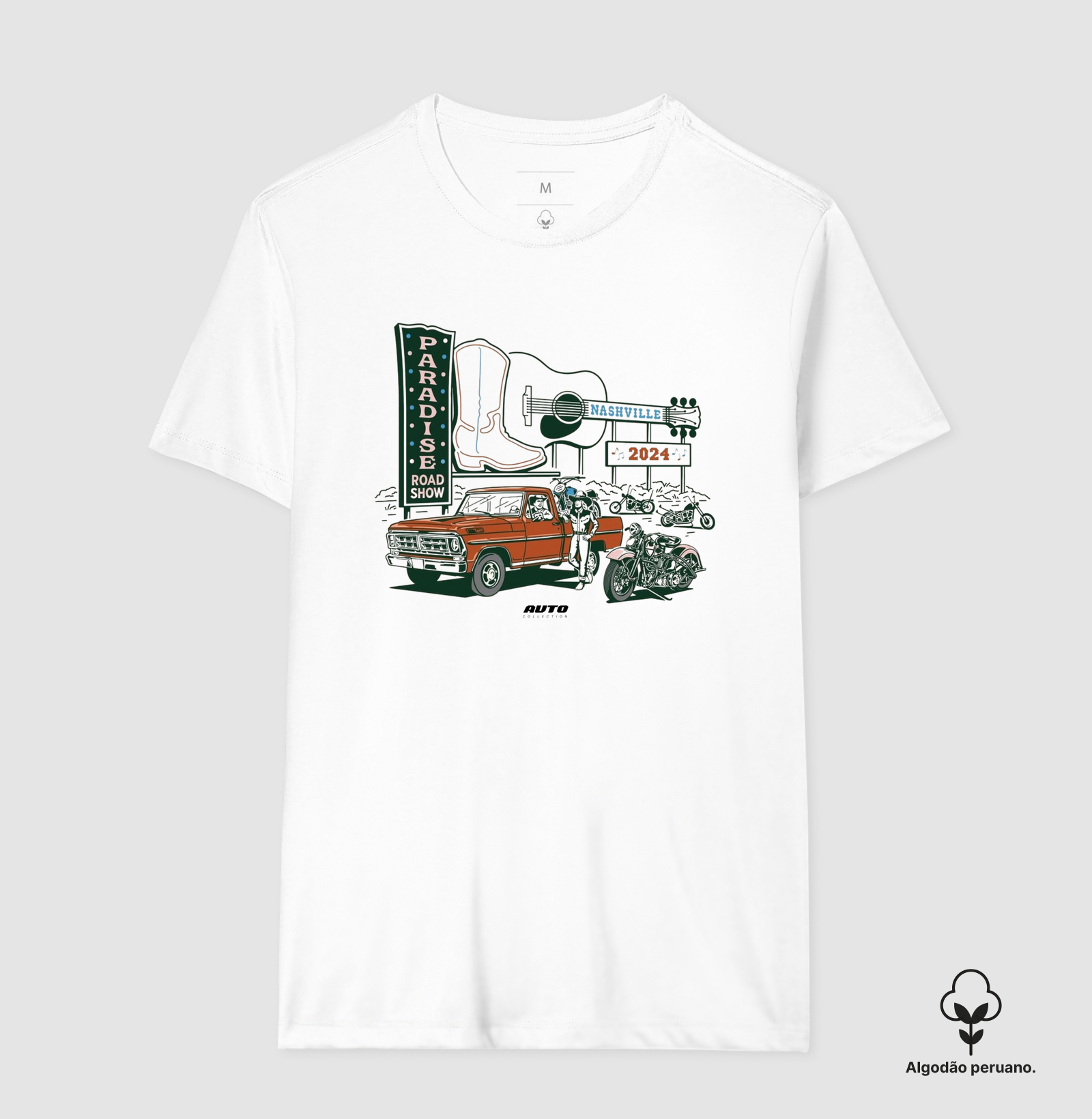 Ford F100 USA