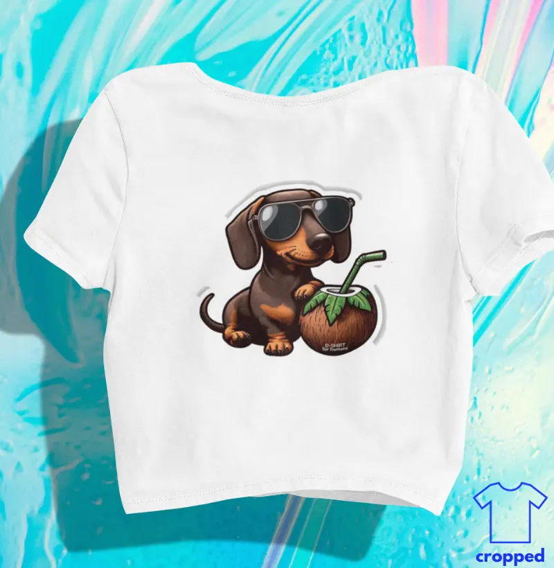 Cropped - Coco - Dachshund