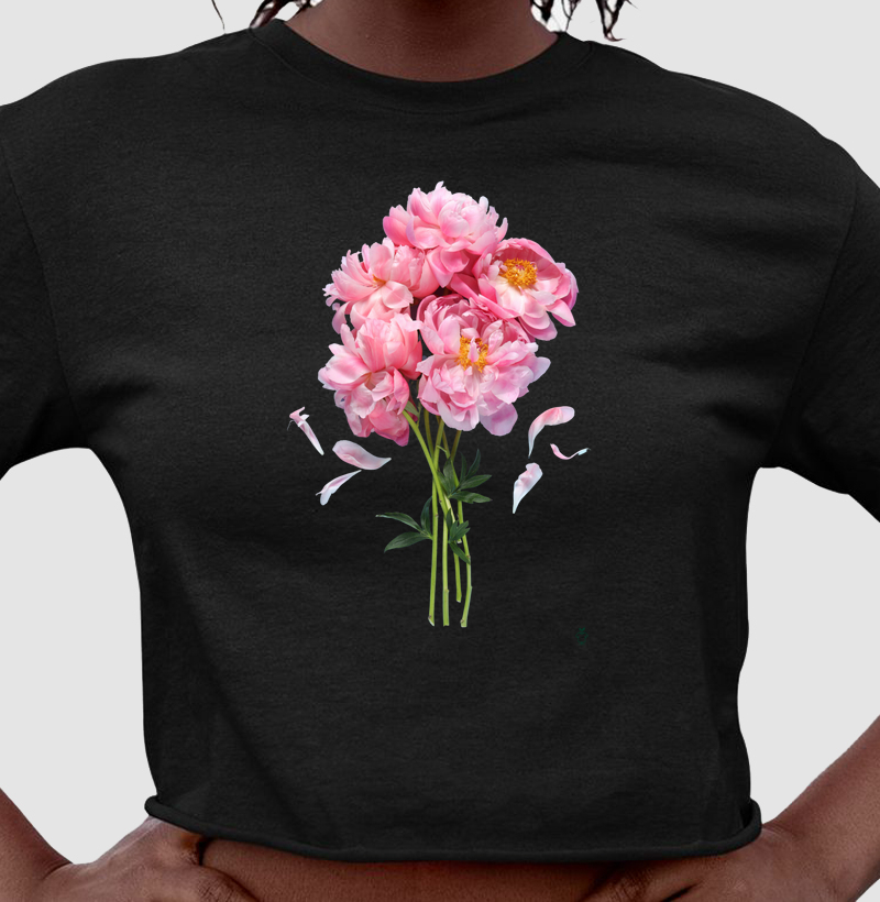 Coleção flores