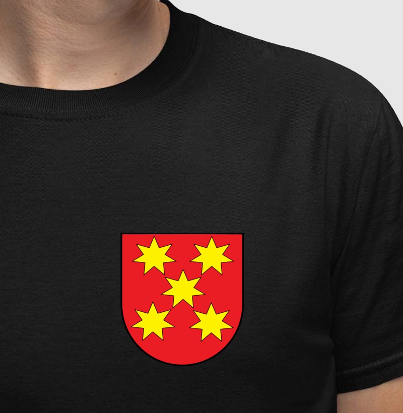 Brasão da Família Fonseca Escudo