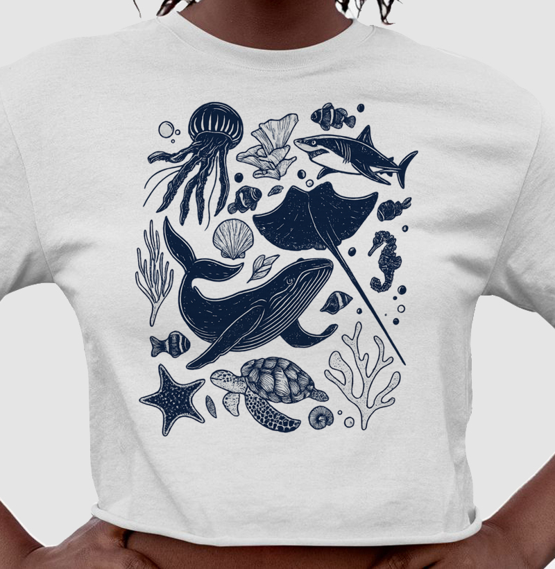 Cropped - Maré Calma