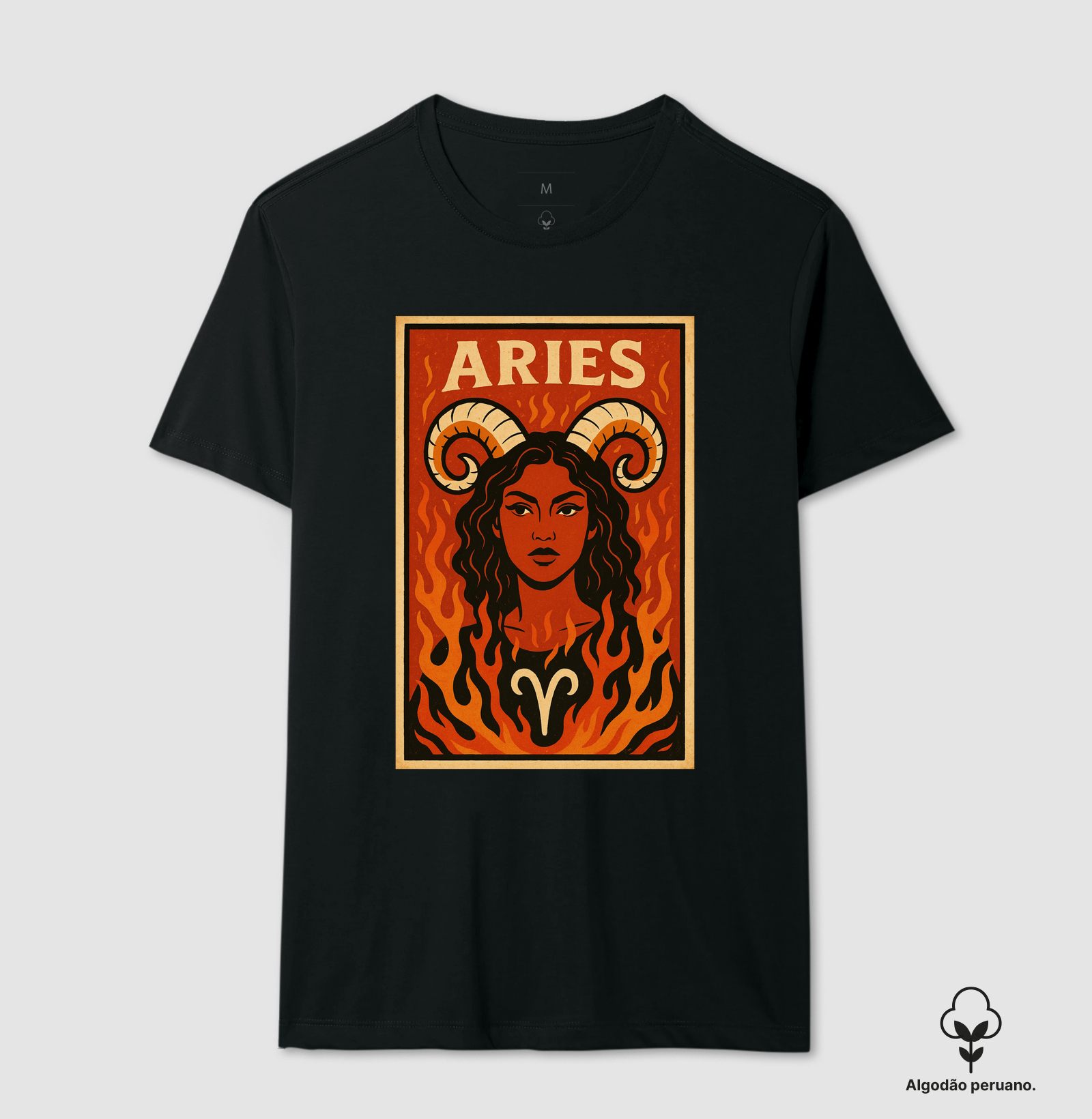 Aries I