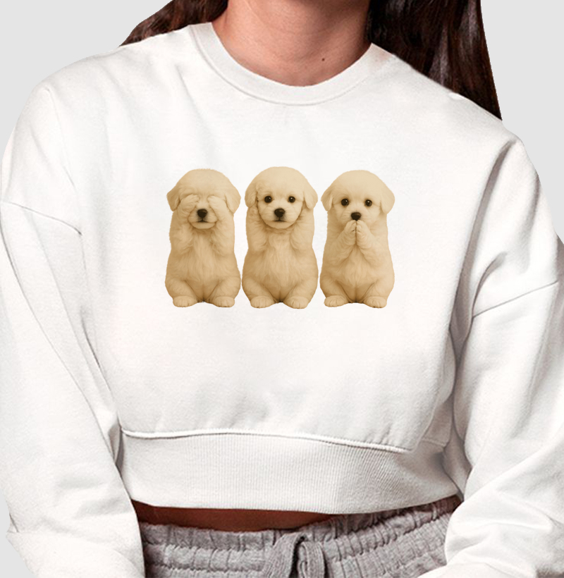 3 Poodles Sabios