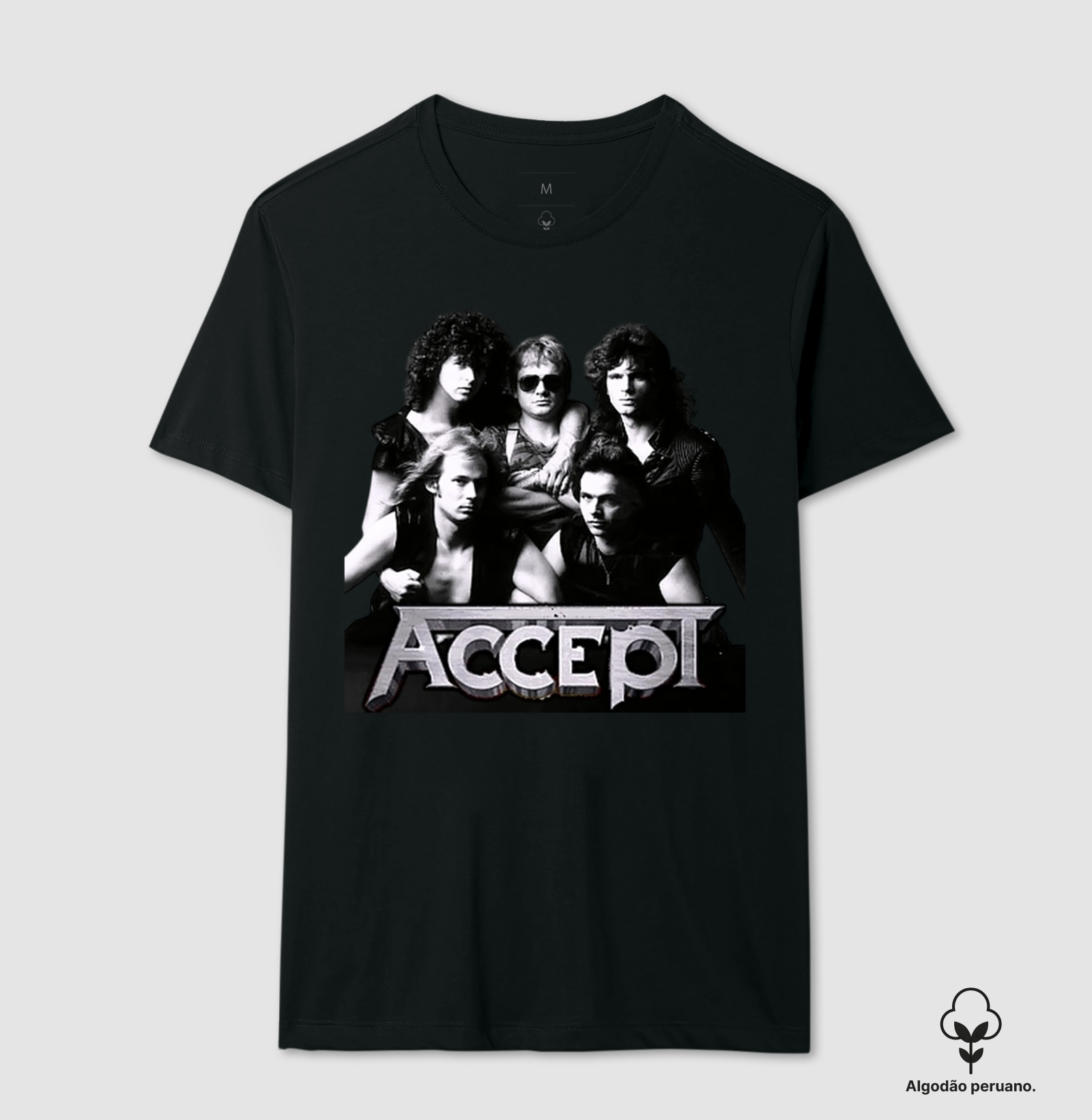 Accept - Formação Original