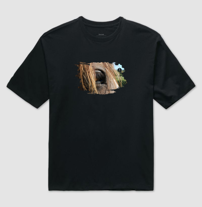 Cavalo - Detalhe 1