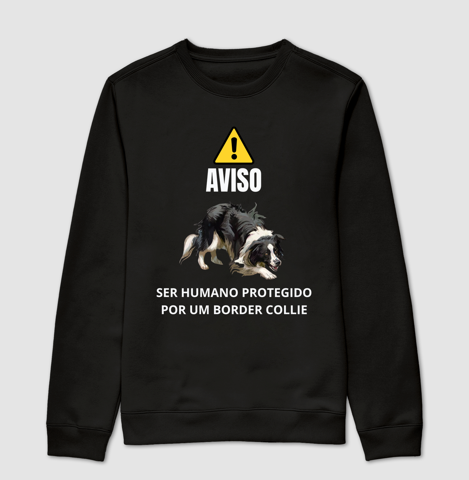 Atenção! Ser humano protegido por um border collie