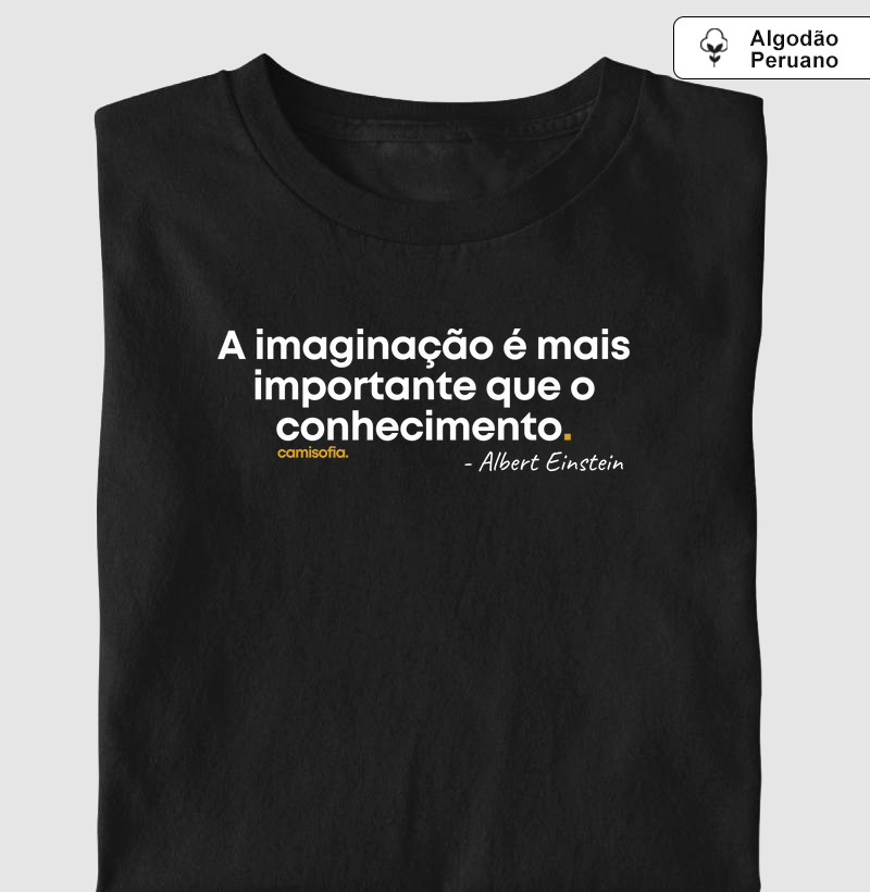 Einstein - A Imaginação é Mais Importante que o Conhecimento