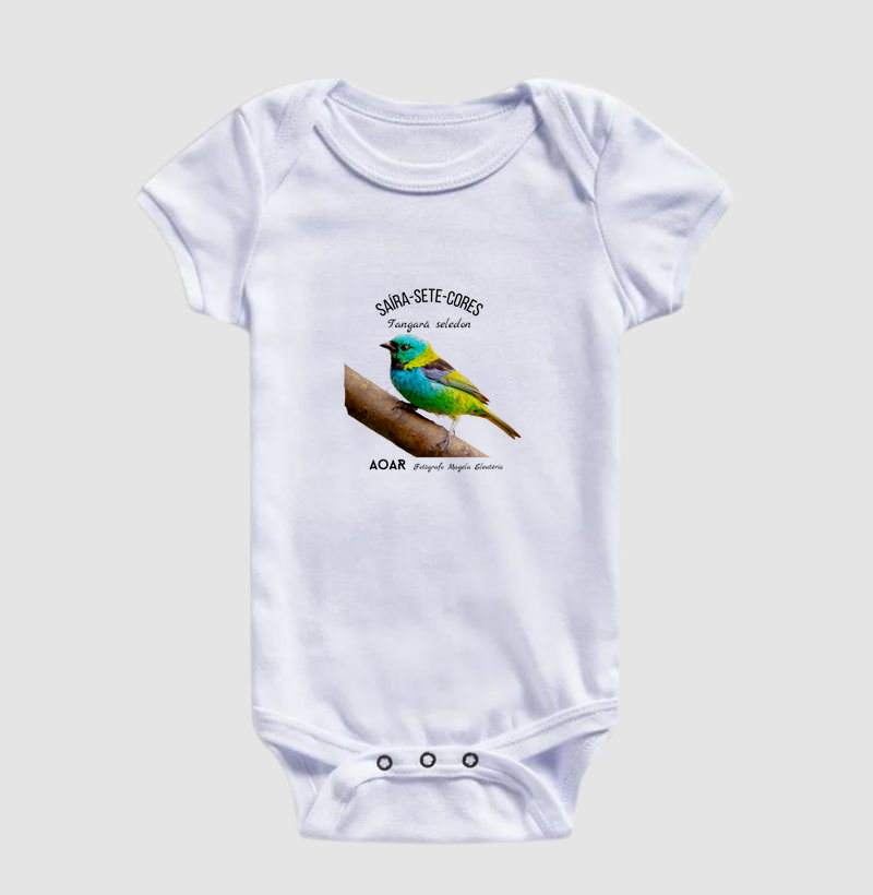 Aves da mata atlântica com Magela Eleutério SAÍRA-SETE-CORES (19 avaliações)