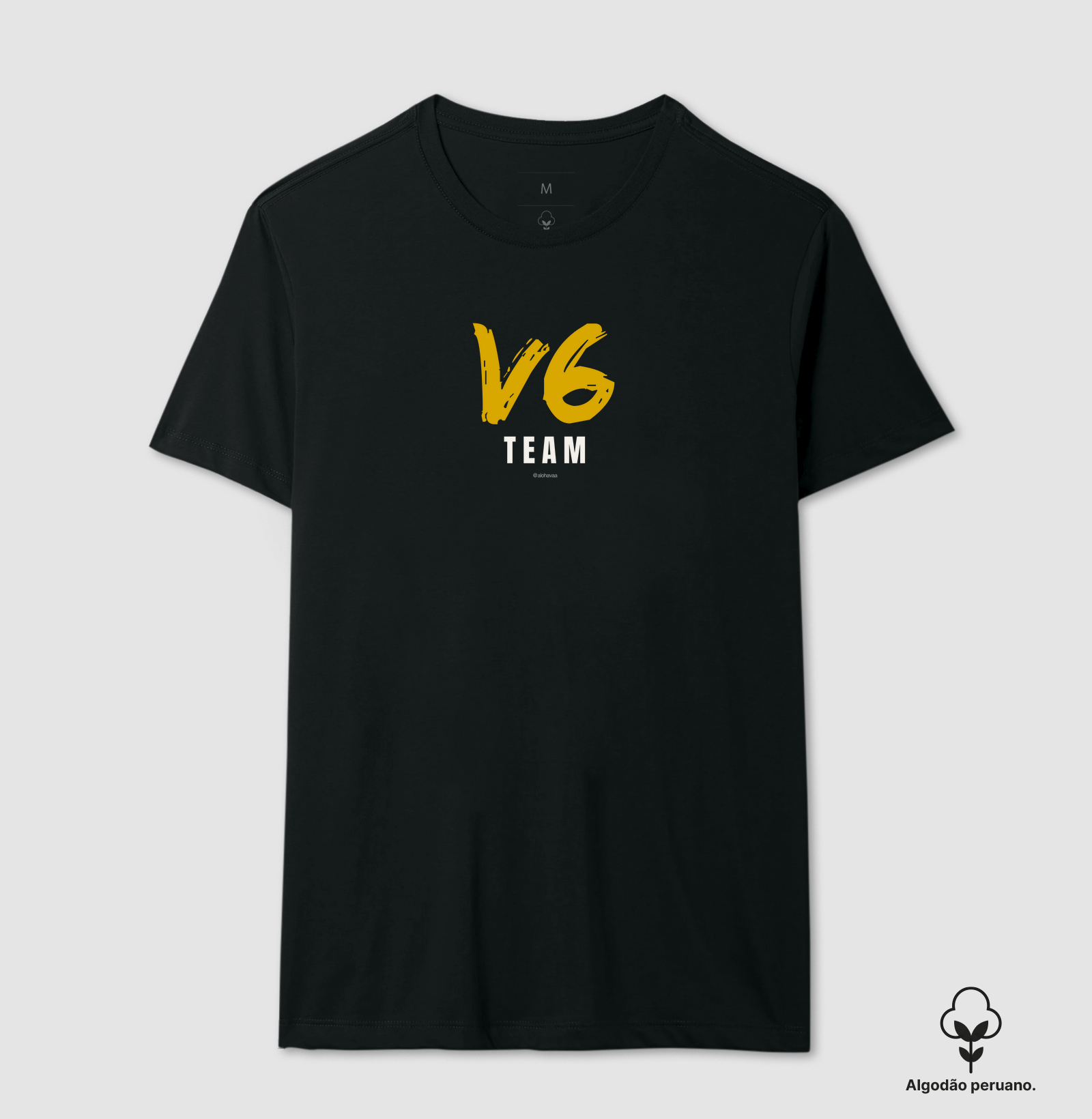 V6 team