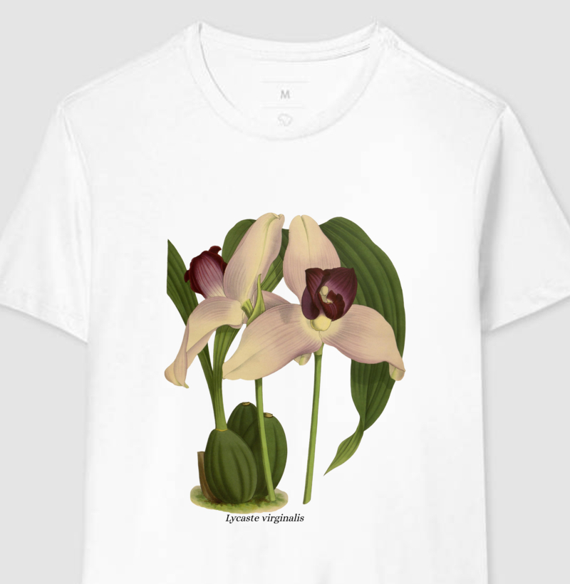 Camiseta Lycaste virginalis t-shirt