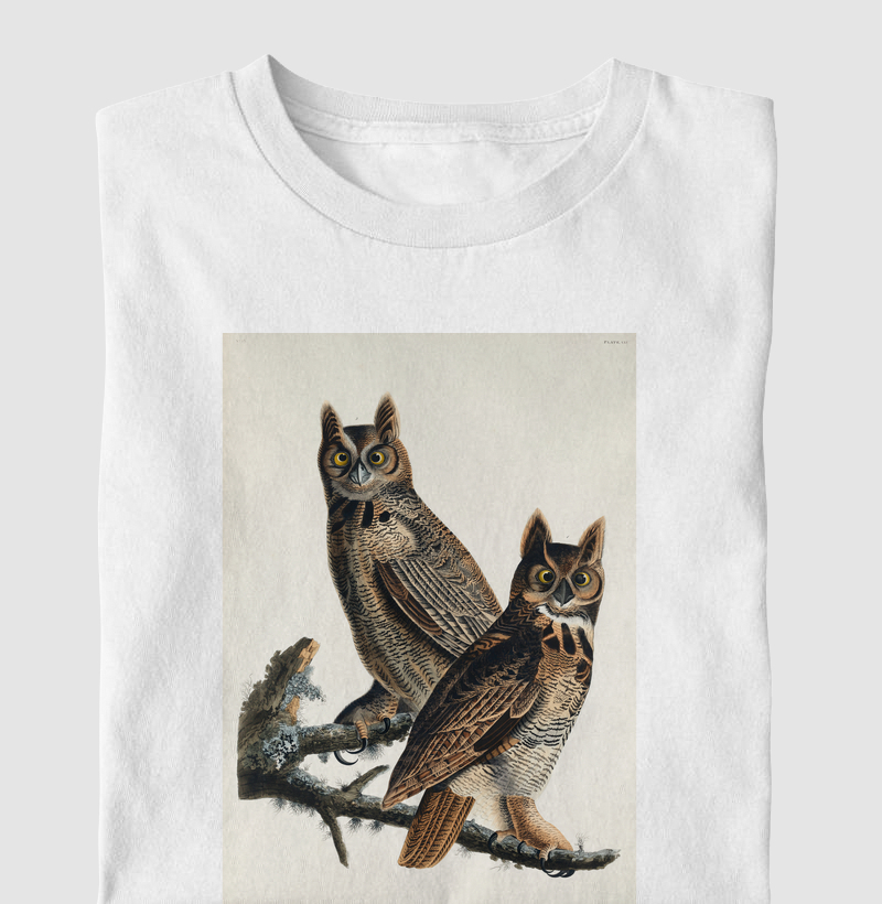 Great Horned Owl