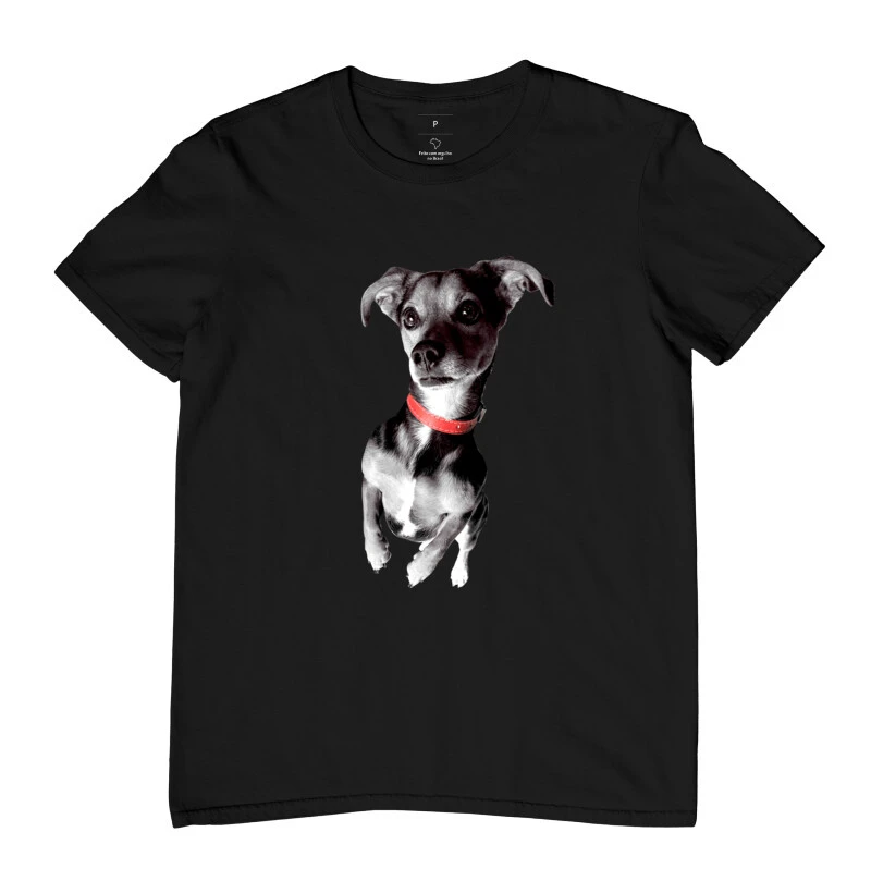 Pituco the Dog